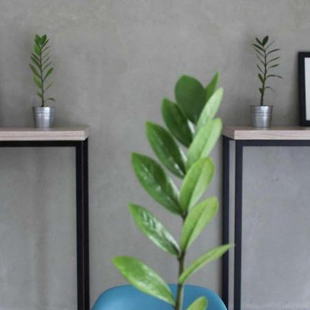 Casa Living Setiabudi Giacarta Esterno foto